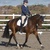 Howden Winter Intermediate Dressage Qualifier