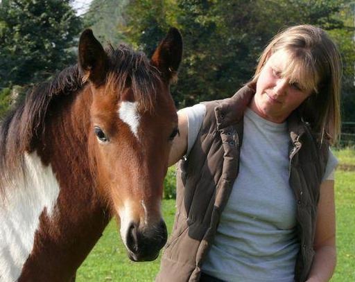 Horse Agility Demo with Sheila Jones