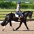 October Stressless Dressage