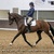Equetech Dressage to Music Qualifier at Moreton Morrell