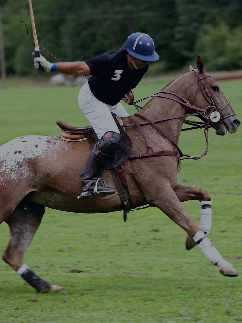 An Afternoon of Polo and a Picnic